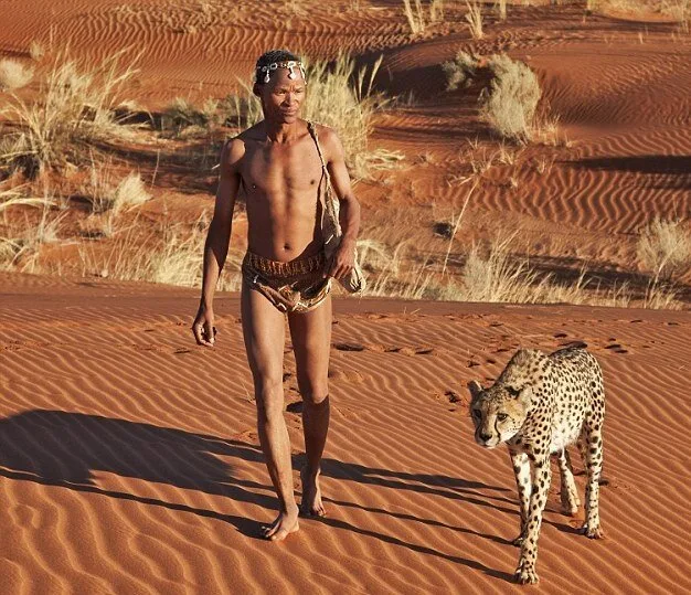 Walking-With-Cheetahs4
