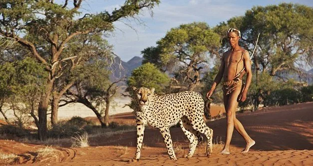 Walking-With-Cheetahs5