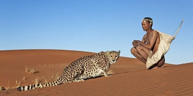 Walking-With-Cheetahs6