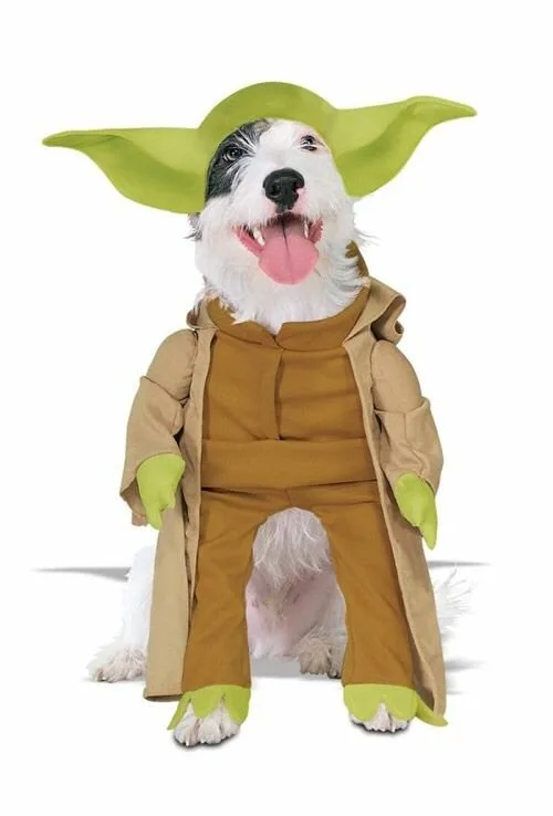 Dog2