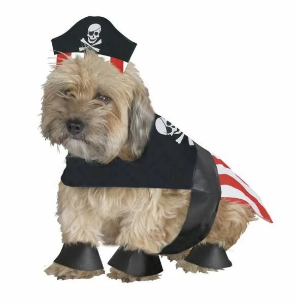 Dog5