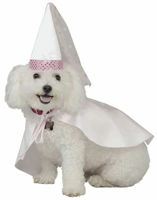 Dog9