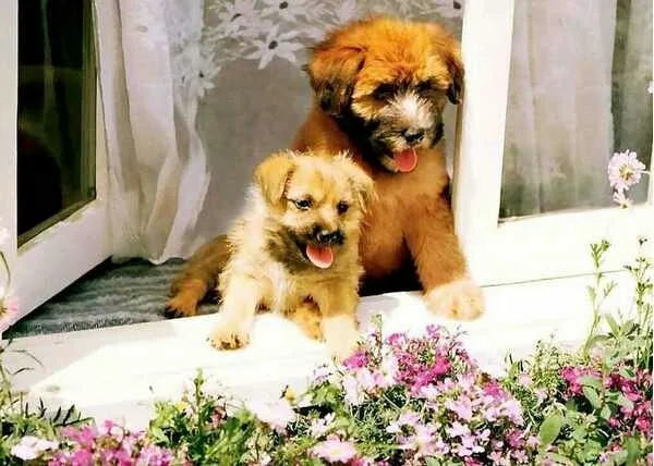 Friends10