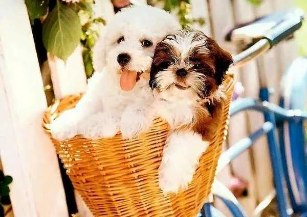 Friends11