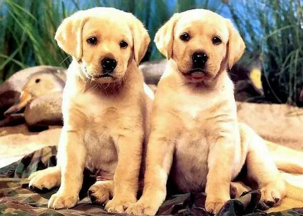 Friends2