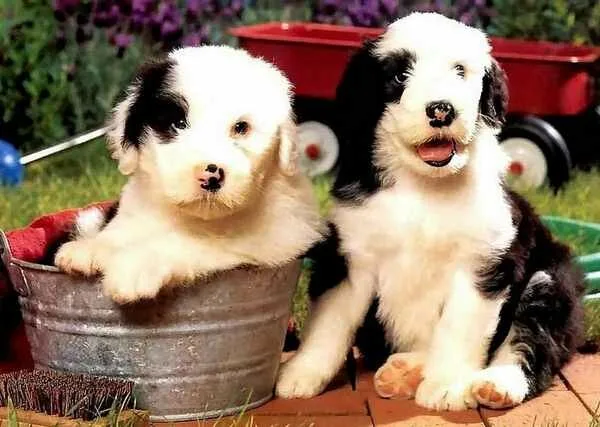 Friends5