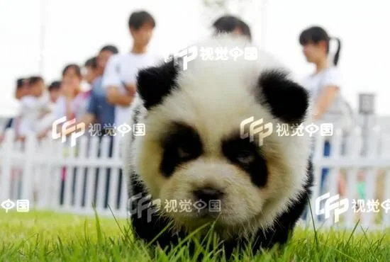 New-Fashion-In-China9