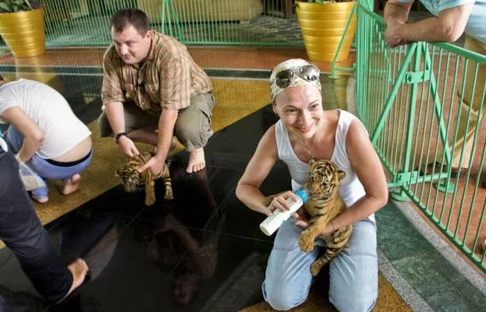 Unique-Farm-In-Thailand4